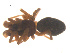  ( - 07CHU-AR-0083)  @12 [ ] CreativeCommons - Attribution (2009) Emily Robinson, Biodiversity Institute of Ontario Centre for Biodiversity Genomics