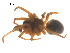  ( - 07CHU-AR-0090)  @12 [ ] CreativeCommons - Attribution (2009) Emily Robinson, Biodiversity Institute of Ontario Centre for Biodiversity Genomics