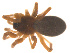  ( - 07CHU-AR-0091)  @12 [ ] CreativeCommons - Attribution (2009) Emily Robinson, Biodiversity Institute of Ontario Centre for Biodiversity Genomics