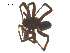  ( - 07CHU-AR-0255)  @13 [ ] CreativeCommons - Attribution (2009) Emily Robinson, Biodiversity Institute of Ontario Centre for Biodiversity Genomics