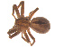  ( - 07CHU-AR-0256)  @13 [ ] CreativeCommons - Attribution (2009) Emily Robinson, Biodiversity Institute of Ontario Centre for Biodiversity Genomics