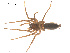  ( - 07CHU-AR-0257)  @13 [ ] CreativeCommons - Attribution (2009) Emily Robinson, Biodiversity Institute of Ontario Centre for Biodiversity Genomics