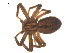  ( - 07CHU-AR-0258)  @14 [ ] CreativeCommons - Attribution (2009) Emily Robinson, Biodiversity Institute of Ontario Centre for Biodiversity Genomics