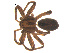  ( - 07CHU-AR-0277)  @14 [ ] CreativeCommons - Attribution (2009) Emily Robinson, Biodiversity Institute of Ontario Centre for Biodiversity Genomics