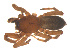  ( - 07CHU-AR-0286)  @12 [ ] CreativeCommons - Attribution (2009) Emily Robinson, Biodiversity Institute of Ontario Centre for Biodiversity Genomics