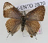  ( - NMK-ENTO 2870)  @11 [ ] Unspecified (default): All Rights Reserved  Unspecified Unspecified