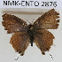  ( - NMK-ENTO 2876)  @11 [ ] Unspecified (default): All Rights Reserved  Unspecified Unspecified