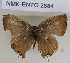 ( - NMK-ENTO 2884)  @11 [ ] Unspecified (default): All Rights Reserved  Unspecified Unspecified