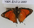  ( - NMK-ENTO 2887)  @11 [ ] Unspecified (default): All Rights Reserved  Unspecified Unspecified