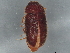  ( - BIOUG48272-A09)  @11 [ ] CreativeCommons - Attribution (2022) CBG Photography Group Centre for Biodiversity Genomics