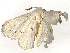  ( - BIOUG45651-A01)  @11 [ ] CreativeCommons - Attribution (2024) CBG Photography Group Centre for Biodiversity Genomics