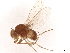  (Katacamilla - BIOUG48098-E01)  @11 [ ] CreativeCommons - Attribution (2021) CBG Photography Group Centre for Biodiversity Genomics
