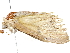  ( - BIOUG45996-C08)  @11 [ ] CreativeCommons - Attribution (2020) CBG Photography Group Centre for Biodiversity Genomics