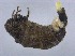  ( - KNAEBR89)  @11 [ ] Copyright (2017) Unspecified Hannam University