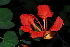  ( - OM0279)  @11 [ ] Unspecified (default): All Rights Reserved  Unspecified Unspecified