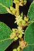  ( - OM0813)  @11 [ ] Unspecified (default): All Rights Reserved  Unspecified Unspecified