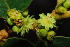  ( - OM0813)  @11 [ ] Unspecified (default): All Rights Reserved  Unspecified Unspecified
