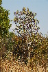  ( - RL1251)  @11 [ ] Unspecified (default): All Rights Reserved  Unspecified Unspecified