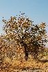 ( - RL1355.1)  @11 [ ] Unspecified (default): All Rights Reserved  Unspecified Unspecified
