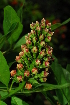 ( - OM1676)  @11 [ ] Unspecified (default): All Rights Reserved  Unspecified Unspecified