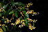  ( - RBN132)  @11 [ ] Unspecified (default): All Rights Reserved  Unspecified Unspecified