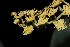  ( - RBN132)  @11 [ ] Unspecified (default): All Rights Reserved  Unspecified Unspecified