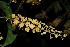  ( - RBN132)  @11 [ ] Unspecified (default): All Rights Reserved  Unspecified Unspecified