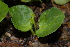  ( - RBN154.2)  @11 [ ] Unspecified (default): All Rights Reserved  Unspecified Unspecified