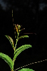  ( - RL1179.1)  @11 [ ] Unspecified (default): All Rights Reserved  Unspecified Unspecified