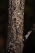  ( - M476)  @11 [ ] Unspecified (default): All Rights Reserved  Unspecified Unspecified