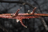  ( - OM1011)  @11 [ ] Unspecified (default): All Rights Reserved  Unspecified Unspecified