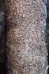  ( - MvdB26)  @11 [ ] Unspecified (default): All Rights Reserved  Unspecified Unspecified