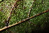  ( - MvdB26)  @11 [ ] Unspecified (default): All Rights Reserved  Unspecified Unspecified