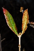  ( - MvdB26)  @11 [ ] Unspecified (default): All Rights Reserved  Unspecified Unspecified