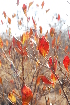  ( - MvdB26)  @11 [ ] Unspecified (default): All Rights Reserved  Unspecified Unspecified