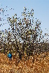  ( - OM_MvdB21)  @11 [ ] Unspecified (default): All Rights Reserved  Unspecified Unspecified