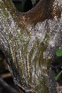  ( - OM1311)  @11 [ ] Unspecified (default): All Rights Reserved  Unspecified Unspecified