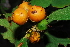  ( - OM1311)  @11 [ ] Unspecified (default): All Rights Reserved  Unspecified Unspecified