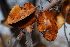  ( - OM1044)  @11 [ ] Unspecified (default): All Rights Reserved  Unspecified Unspecified