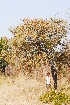  ( - OM1044)  @11 [ ] Unspecified (default): All Rights Reserved  Unspecified Unspecified