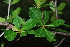  ( - OM0621)  @11 [ ] Unspecified (default): All Rights Reserved  Unspecified Unspecified