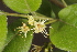  ( - OM0997)  @11 [ ] Unspecified (default): All Rights Reserved  Unspecified Unspecified