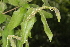  ( - OM0997)  @11 [ ] Unspecified (default): All Rights Reserved  Unspecified Unspecified