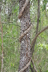  ( - OM0997)  @11 [ ] Unspecified (default): All Rights Reserved  Unspecified Unspecified