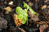  ( - OM0997)  @11 [ ] Unspecified (default): All Rights Reserved  Unspecified Unspecified