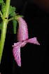  ( - OM0651)  @11 [ ] Unspecified (default): All Rights Reserved  Unspecified Unspecified