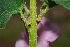  ( - OM0983)  @11 [ ] Unspecified (default): All Rights Reserved  Unspecified Unspecified