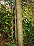  ( - CS07)  @11 [ ] Unspecified (default): All Rights Reserved  Unspecified Unspecified