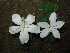 ( - CS07)  @11 [ ] Unspecified (default): All Rights Reserved  Unspecified Unspecified