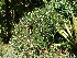  ( - CS07)  @11 [ ] Unspecified (default): All Rights Reserved  Unspecified Unspecified